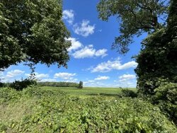 Jalan Naga Sari (D11), Semi-Detached #500171871